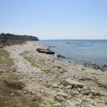 W Beach looking south west back to Cape Helles