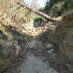 The Middle Gully